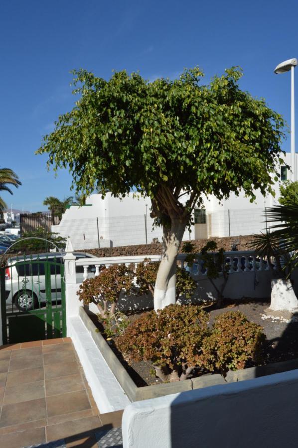 Lava Teneguia, 5 Guests In 2 Bedrooms بويرتو ذيل كارمين المظهر الخارجي الصورة